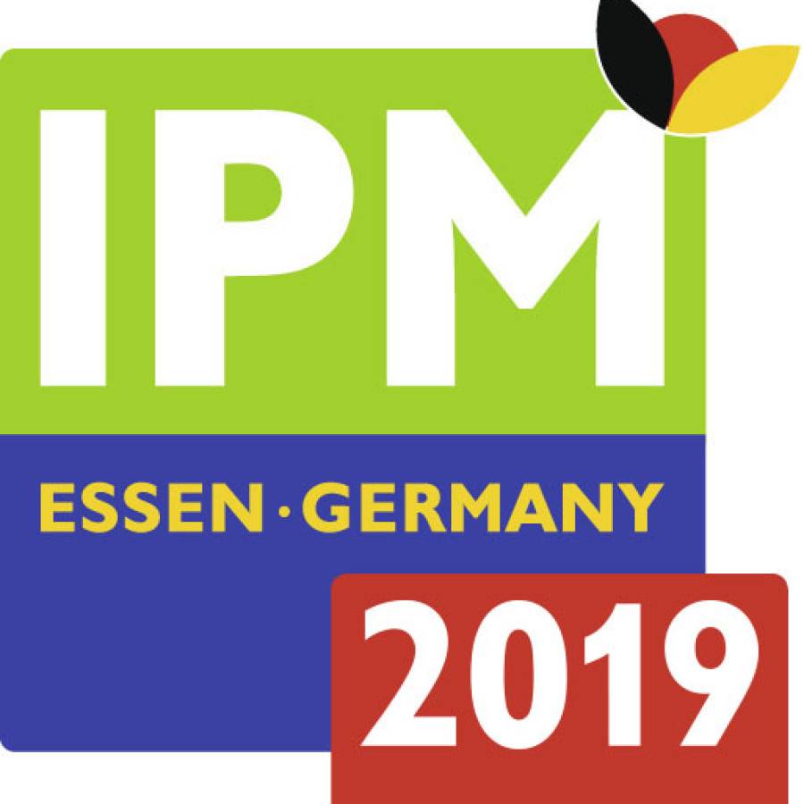 "IPM" Essen